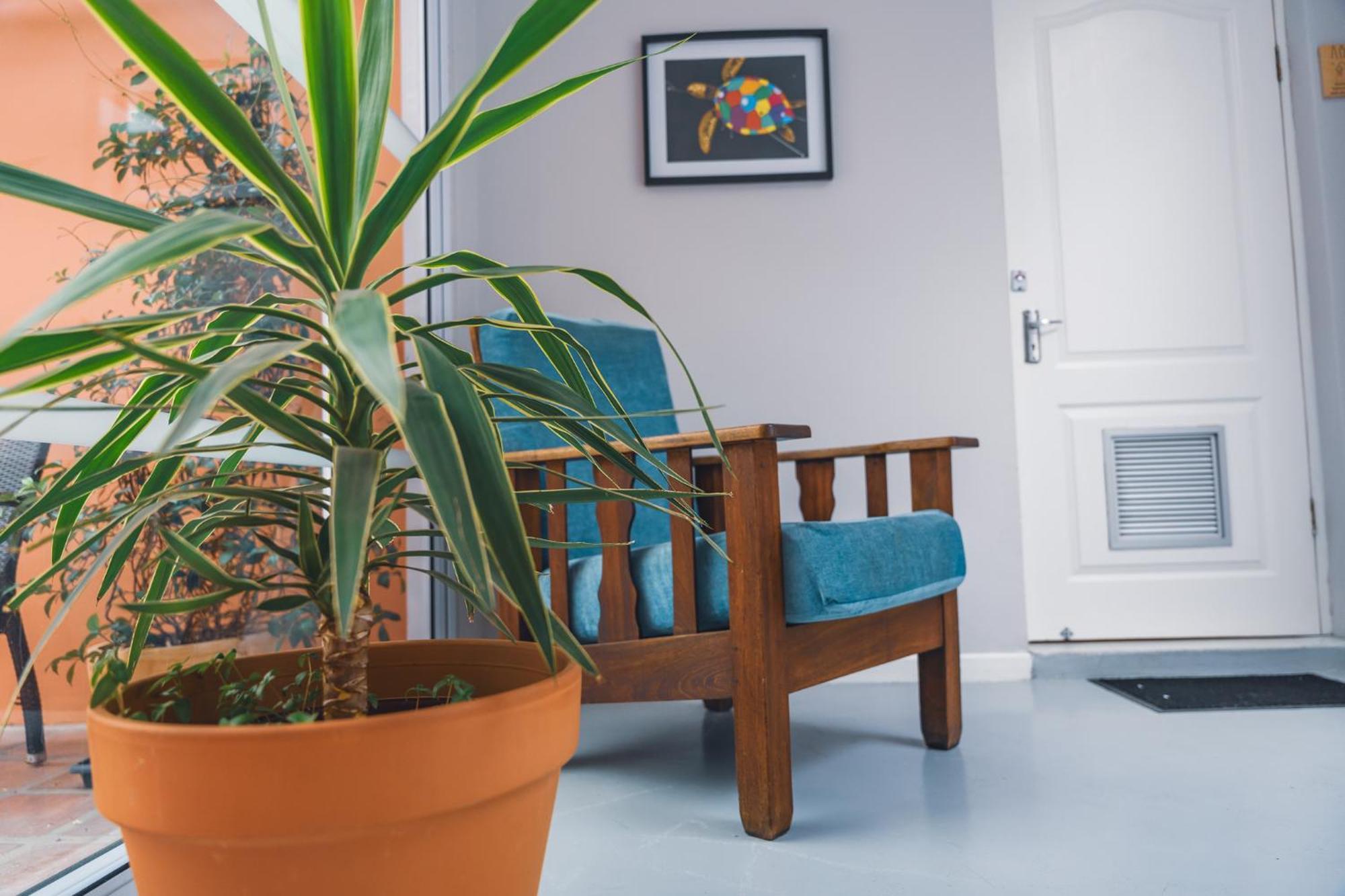 Villa Viva Cape Town Ngoại thất bức ảnh