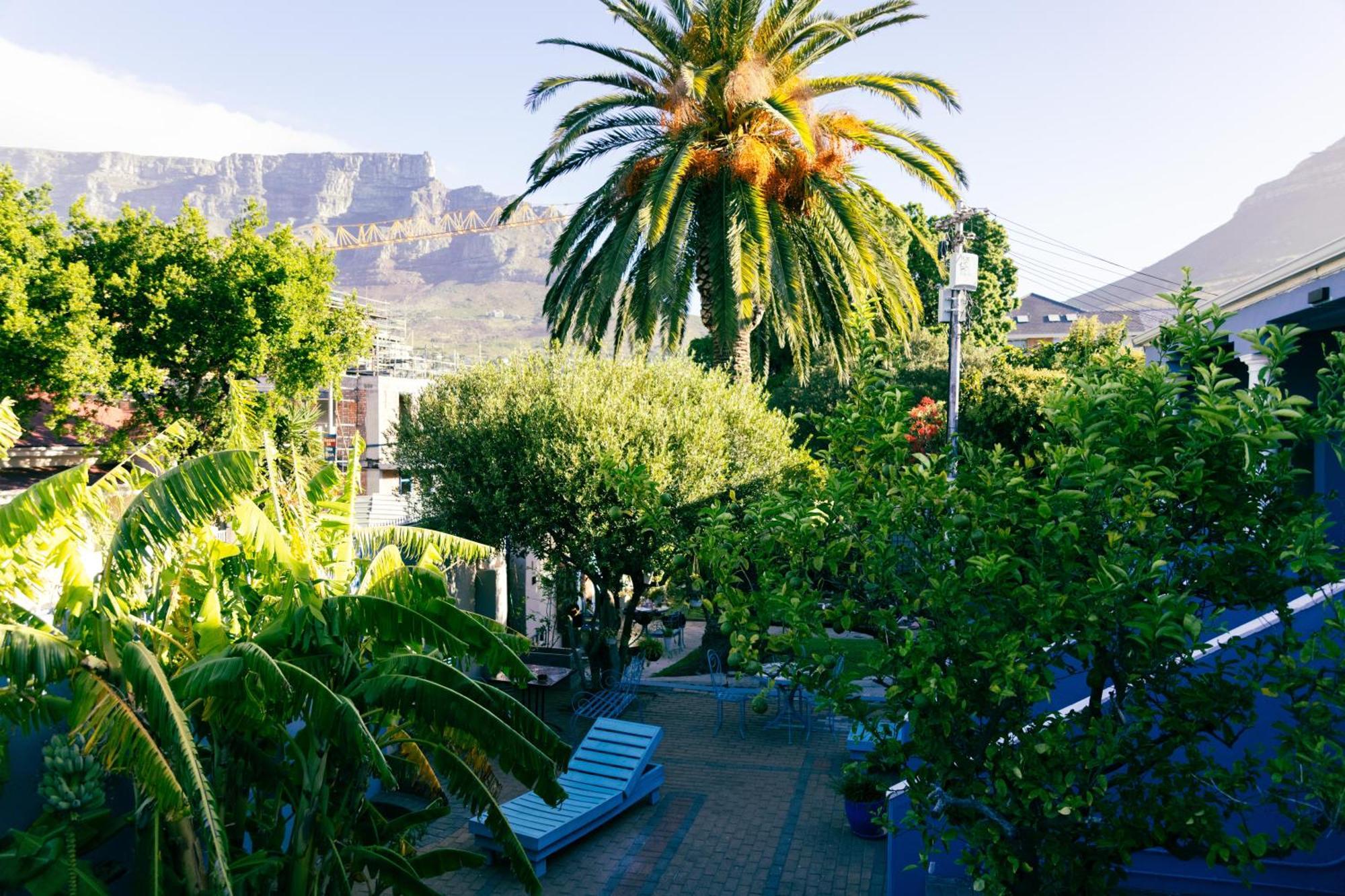 Villa Viva Cape Town Ngoại thất bức ảnh